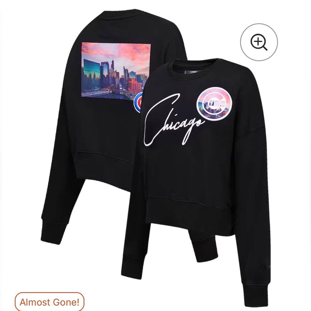 NWT Chicago Cubs Pro Standard City Scape Pullover Sweatshirt